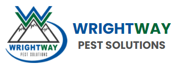 Wrightway Pest Solutions